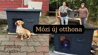A KISKUTYÁNK ÚJ OTTHONA | Mózi élete 4. rész
