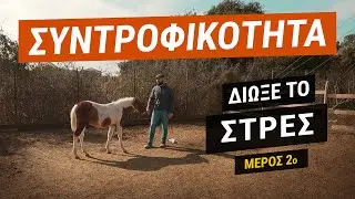 Συντροφικότητα - Διώξε το Στρες - Μέρος 2ο