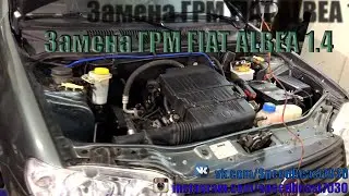 Замена ГРМ Fiat Albea (Фиат Альбеа)1.4 ✅