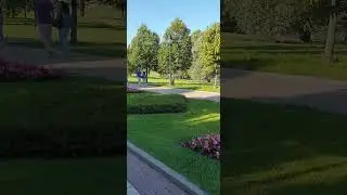 15 августа 2024 г.
