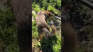 видеообзор База Пычанки 05 06 21