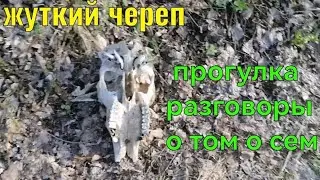 ЦВЕТМЕТ. ПРОГУЛКА С СОБАКОЙ. СБОР АЛЮМИНИЕВЫХ БАНОЧЕК. ЧИСТИМ ЛЕС. РАЗГОВОР СО ЗРИТЕЛЯМИ.