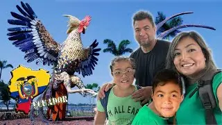 Our Surprise Trip to Ecuador