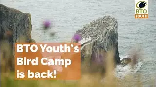 BTO Bird Camps - 2023