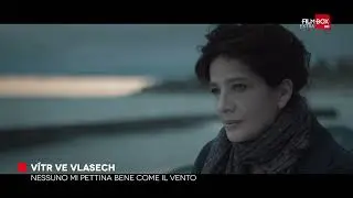 Vítr ve vlasech