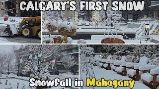 CALGARY - First Big Snowfall of the Season 2025 