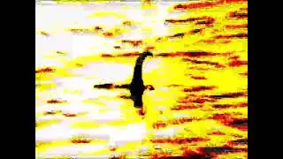 sea monster sighting !??