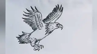 How to draw an eagle l how to make eagle drawing l eagle drawing easy with colour l art #drawing