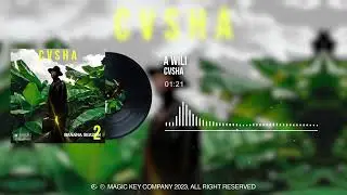 CVSHA - A WILI (Official Audio Visualizer) 2023