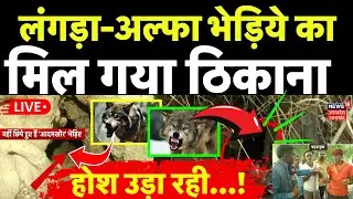 Live Bhediya Attack: लंगड़ा भेड़िये के ठिकाने पर पहुंचा NEWS18, देखिए क्या मिला?| Wolf | Breaking