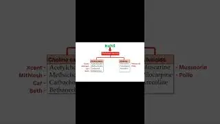 Cholinergic Agonists Mnemonics