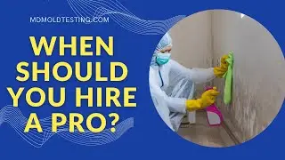 When Should You Look For A Mold Testing Professional? (Mold Testing Chevy Chase Maryland)