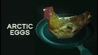 Arctic Eggs — Trailer