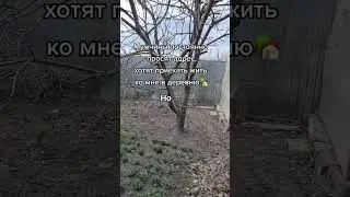 Птица счастья 
