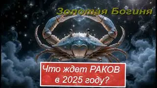 Рак 2025: что приготовила судьба, какие перемены произойдут