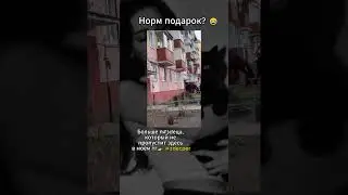 🔴Весь треш в телеграм: @zdecper  #треш #фрося #трешновость #блогеры