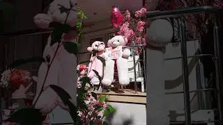 Она хочет...!💐🌴🌲