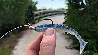 Flounder Fishing Tampa Bay- Artificial Lures