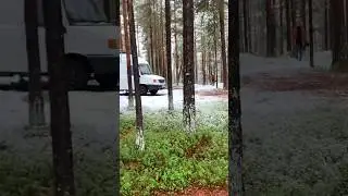 Sweden lets you drive right into the woods! #shorts
