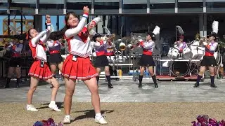 藤ノ花女子高校 マーチングバンド部「タイミング」吹奏楽／ダンス