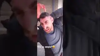 кто это?😁