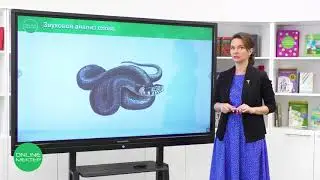 1 класс. Обучение грамоте. 23 урок. Звуковой анализ слова