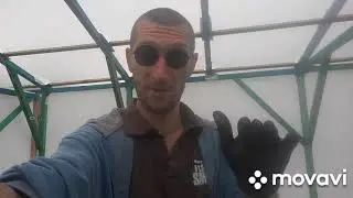 Бесплатное органическое удобрения своими руками