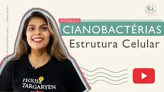 CIANOBACTÉRIAS - Estrutura Celular e Reprodução; Módulo 02: Aula 02