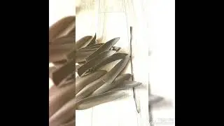 Бесплатный МК пальмовая ветка
