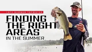 Targeting SUMMER BASS in PEAK times & AREAS – with Luke Palmer