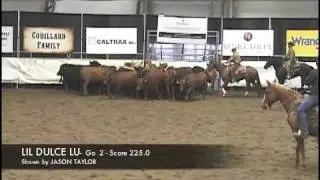 2011 STAMPEDE CUTTING - OPEN - 2nd go - High Score