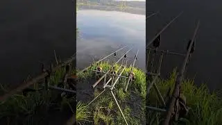 Утренняя красота! только сигнала поклёвки не хватало....