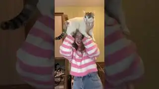 А как зовут вашу любимую шапку 😂