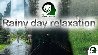 Rainy day relaxation soothing sounds of rainfall