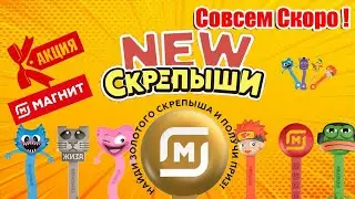 Обзор на все мои коллекции