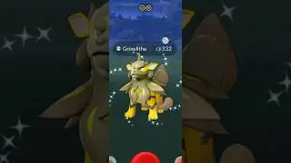 Getting Lucky With ✨Shiny Hisuian Arcannine in 
