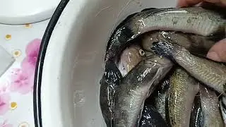 Мариуполь.Жизнь пенсов без прикрас