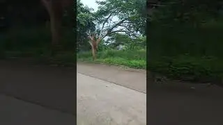 Where I live