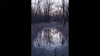 Застучало сердце в лад