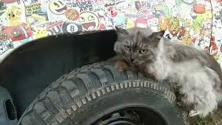 #9 Установка раздатки, бака, карданов, покраска mitsubishi pajero mini