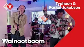 Typhoon & Paskal Jakobsen - 'Walnootboom' live @ Jan-Willem Start Op