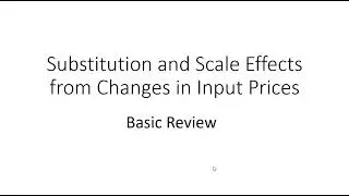 Substitution and Scale Effects from Changes in Input Prices: Review