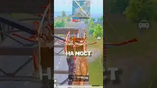😜ЛАЙФХАК С ТИРОНАЗАВРОМ В ПУБГ МОБАЙЛ #pubg #pubgmobile #пубг #пубгмобайл #пабг #пабгмобайл