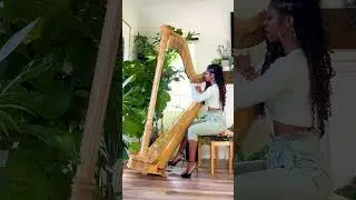 John Legend x Madison Calley Ordinary People Harp Cover