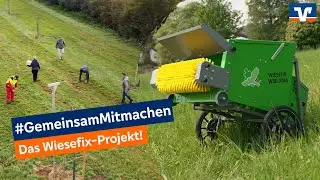 Wiesefix - Gemeinsam für mehr Artenvielfalt in der Region 🌿