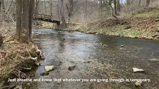 Nature Walk with Water Sounds and Birds Chirping (No Talking ASMR)