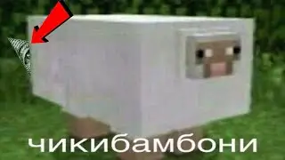 ЧИКИБАМБОНИ ПЕСНЯ / все виды