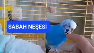 Sabah şekeri evimin neşesi...