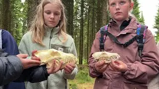 Ulvetur i Klosterheden