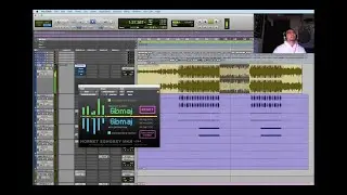 Finding the key of the song in under 2 minutes! Easy to use plugin HORNET SONGKEY - TRAP VOCALS